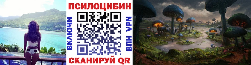 mega рабочий сайт  купить  цена  Бахчисарай  Галлюциногенные грибы Magic Shrooms 